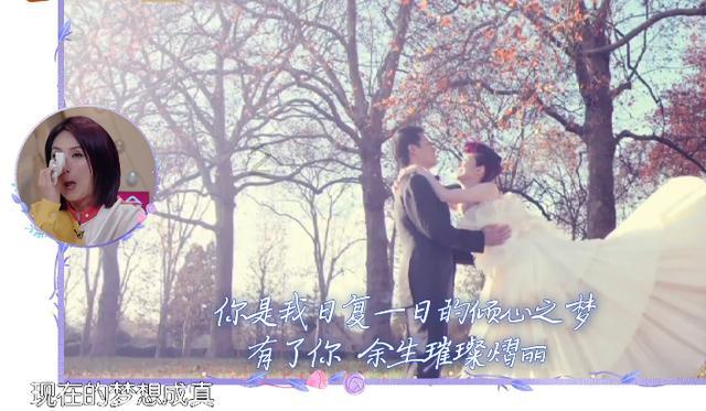 创作猫
