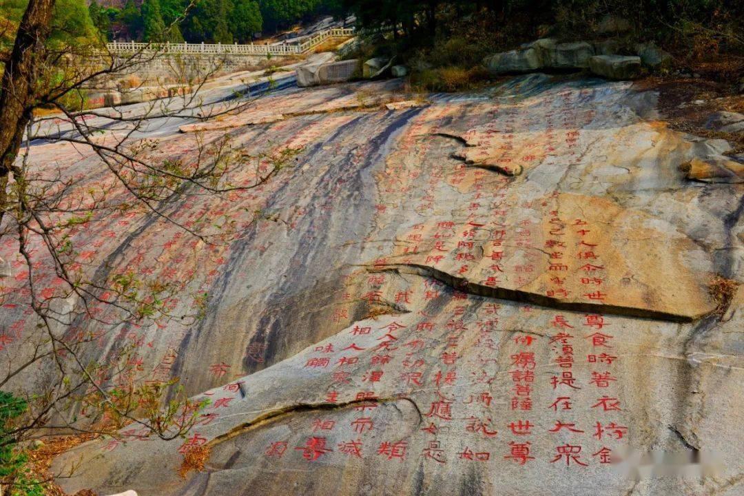 妙鸭相机app下载官网