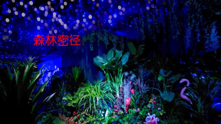 燃烧吧大脑免广告最新版